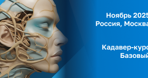 Анатомический курс: Базовый
