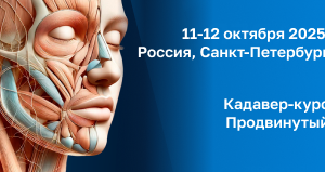 Анатомический курс: Продвинутый